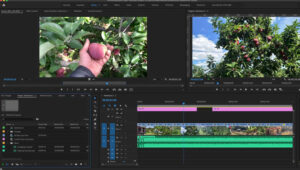 Trik editing video di Adobe Premiere